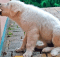 ¿Por qué mi perro muerde la pared?