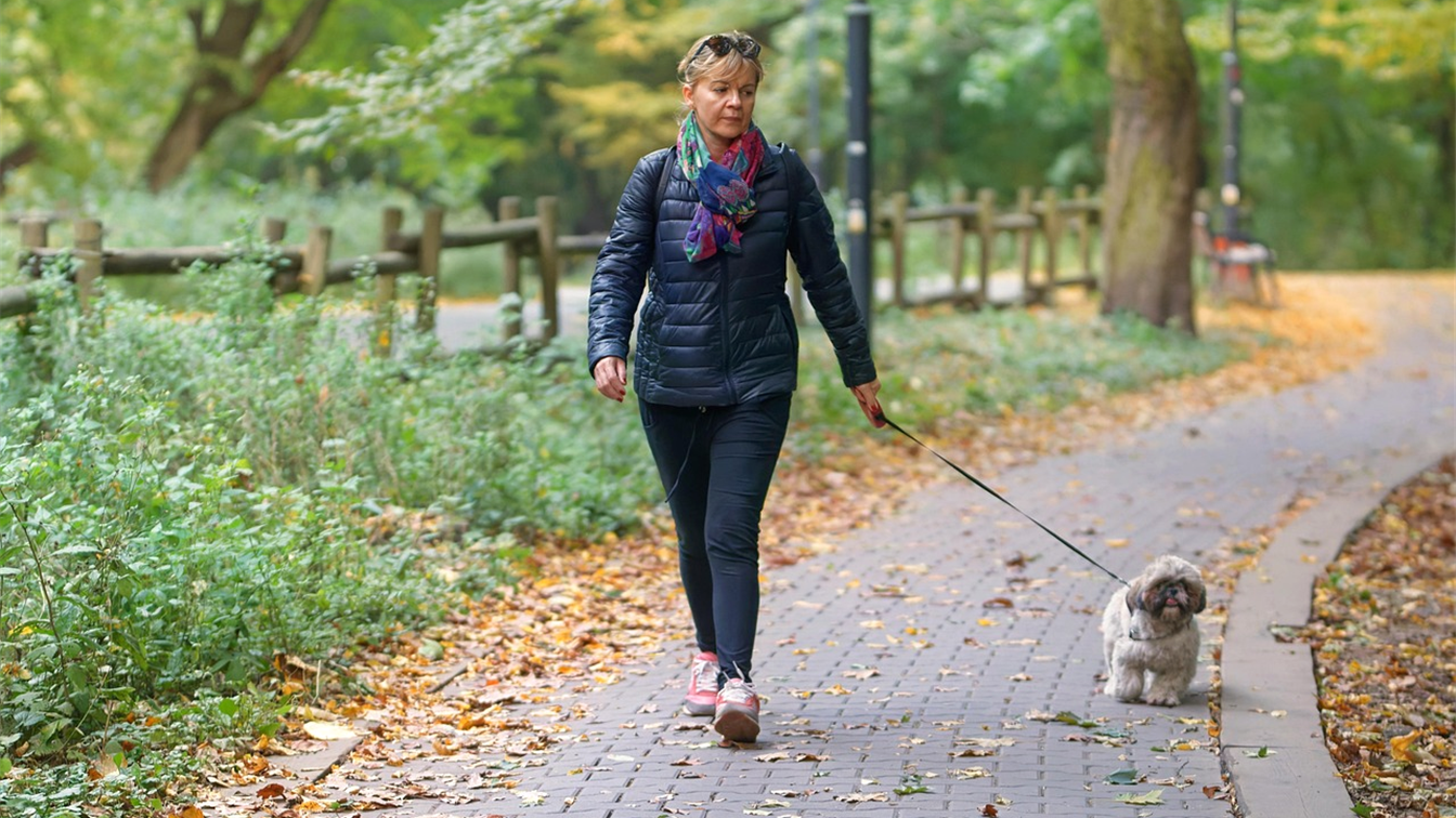 Mujer paseando a su perro por un parque en otoño
